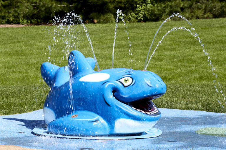 orca animals features my splash pad 17 05 30 2163